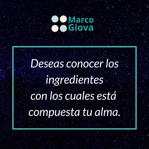 22 motivos para realizar una consulta holística